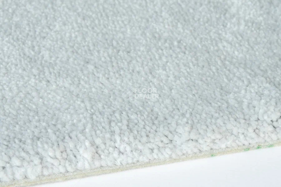 Vorwerk Superior 1067 Mira Vorwerk 5y00 фото 4 | FLOORDEALER